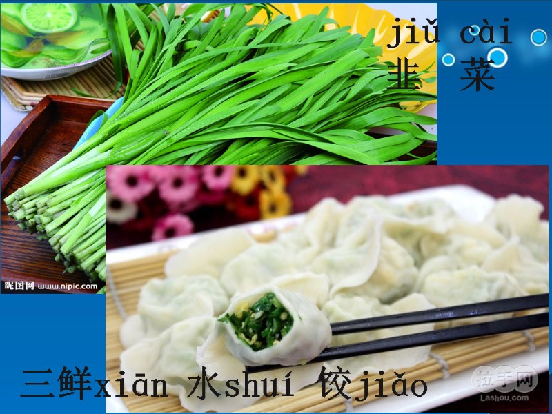 jiǔ cài  韭  菜   三鲜xiān 水shuí 饺jiǎo